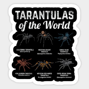 Tarantulas of the world - Funny Tarantula Owner gift Sticker